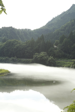 霧の川