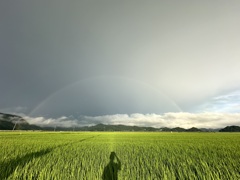 雨上がりの風景