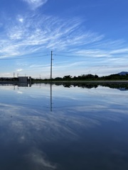 IMG_9697