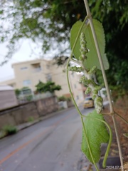 通勤ルートにぶら下がる実