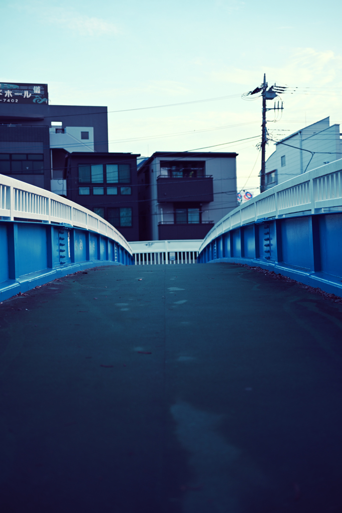 散歩道