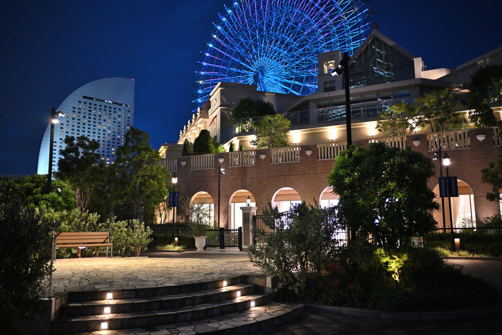 みなとみらい夜景_20240814_11