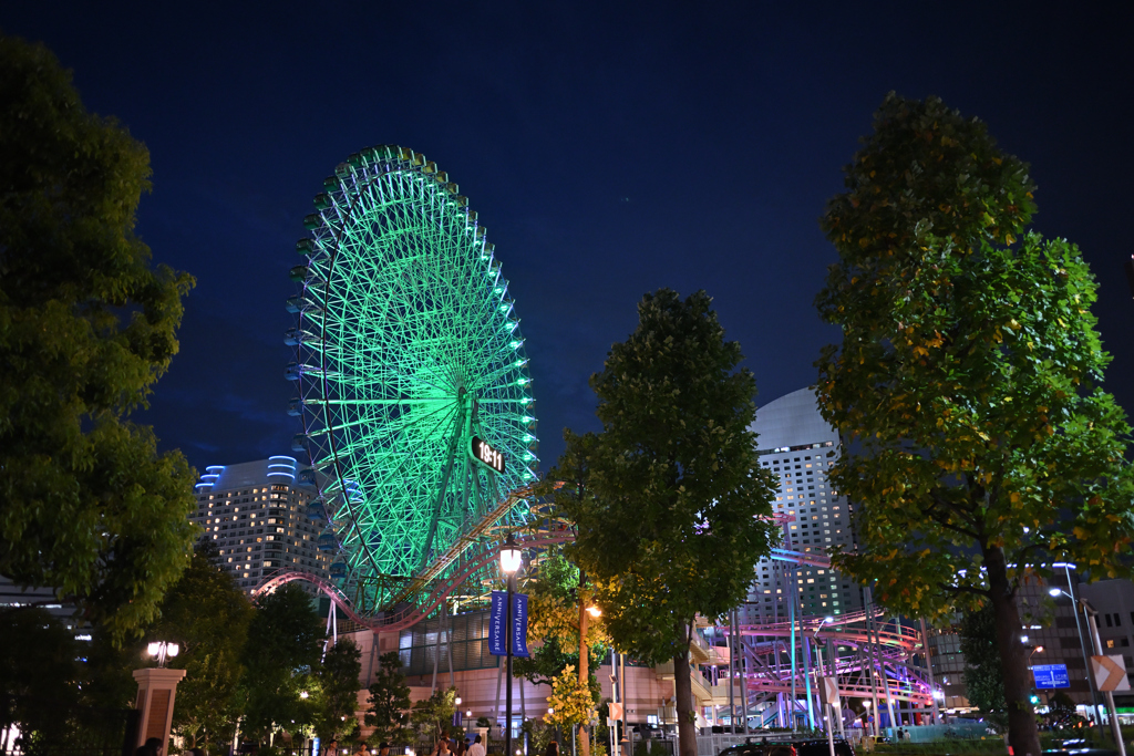 みなとみらい夜景_20240814_14