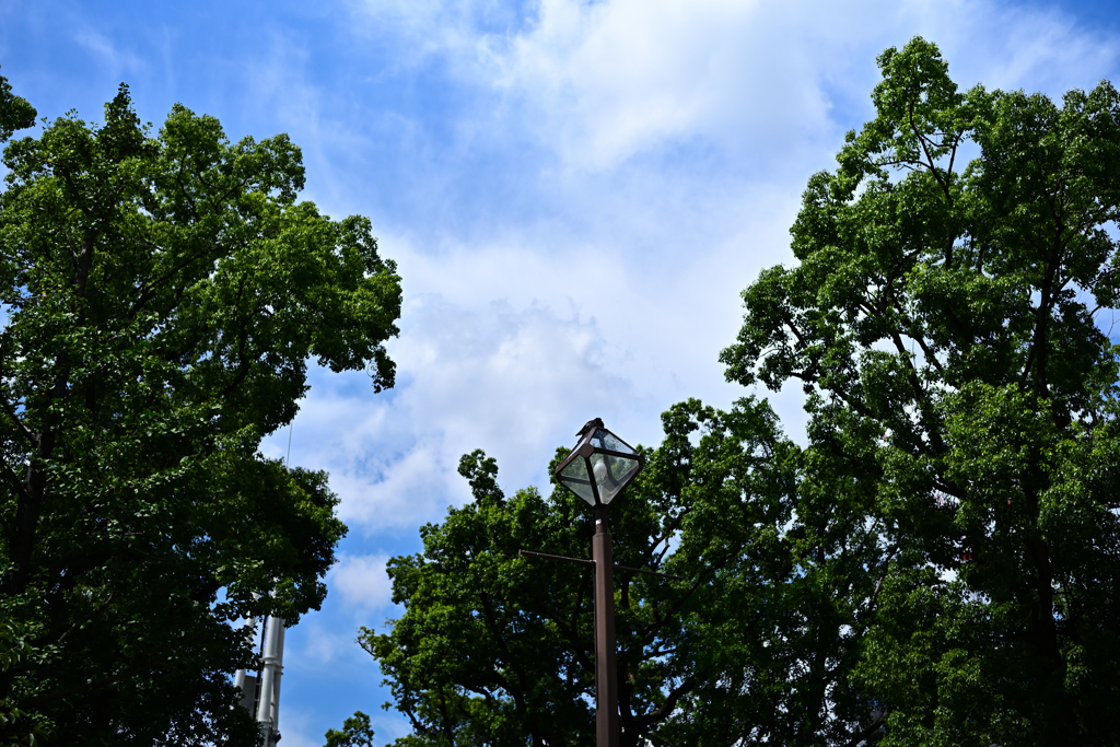 横浜公園_17