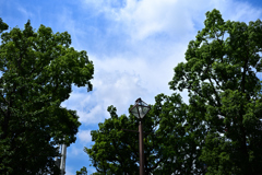 横浜公園_17