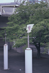 看板が気になって