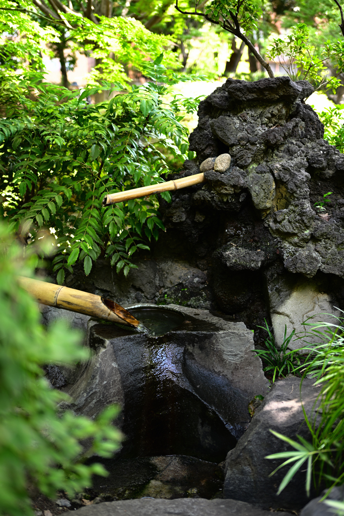 横浜公園_16