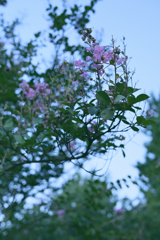 見上げた空