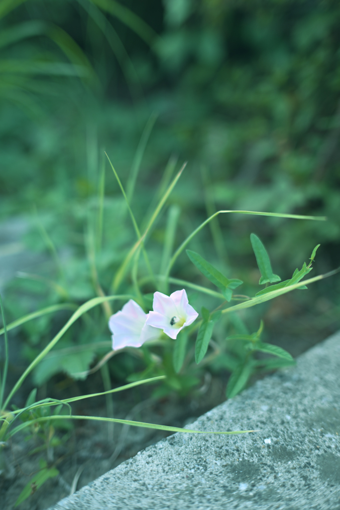 ふと気になって
