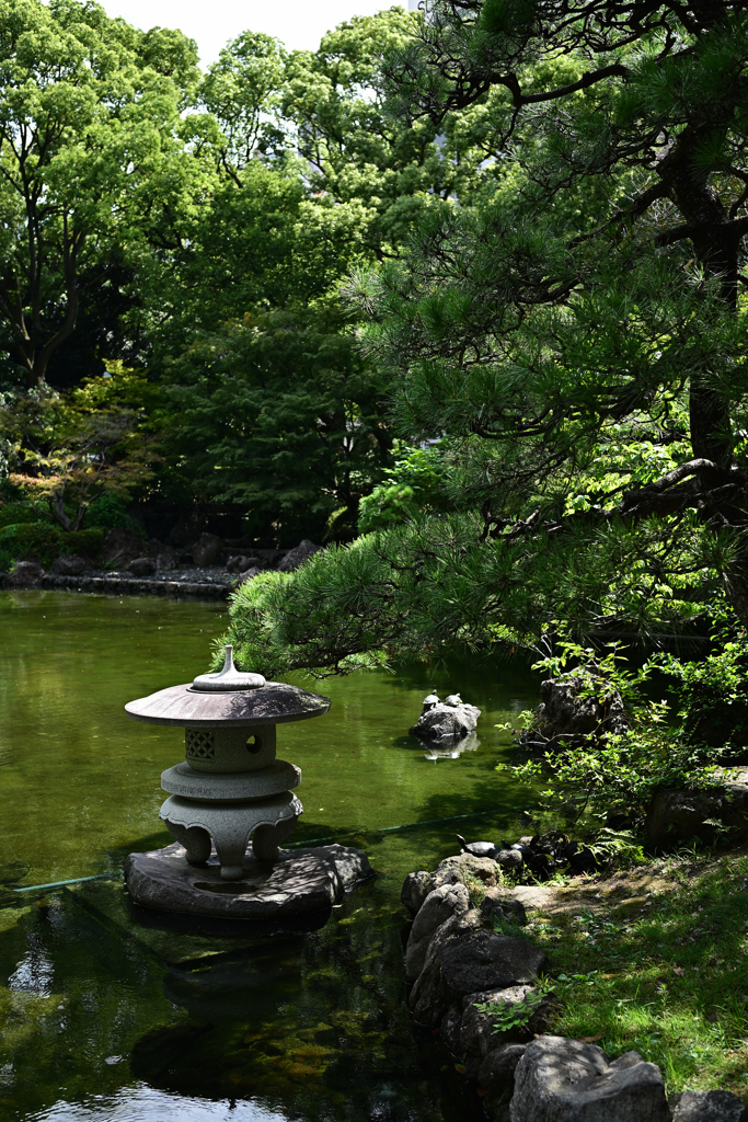 横浜公園_07