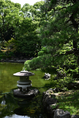 横浜公園_07