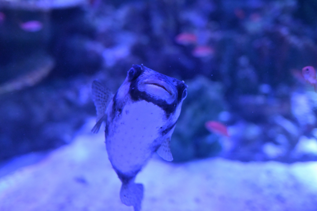 こんにちは