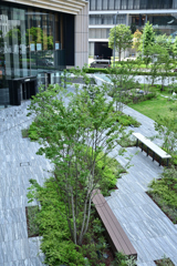 涼しげな景観