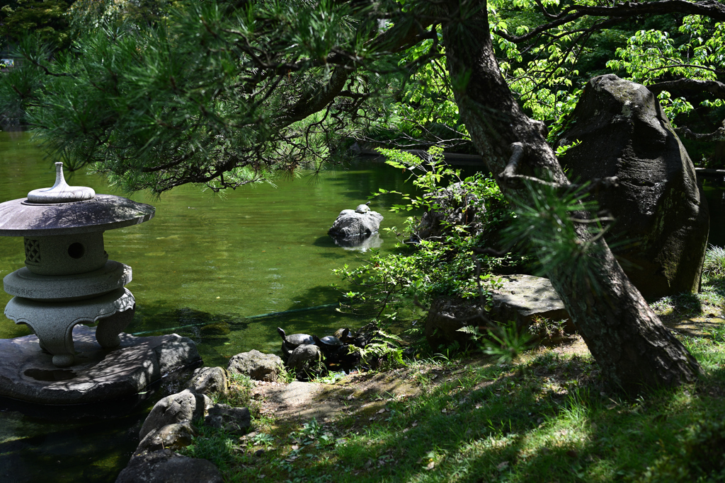 横浜公園_08