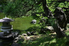 横浜公園_08
