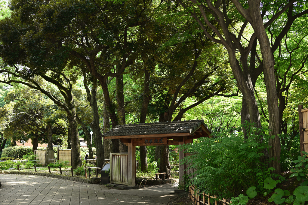横浜公園_03