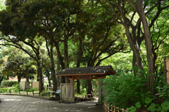 横浜公園_03