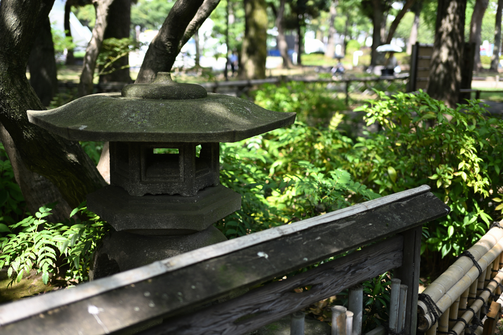 横浜公園_15