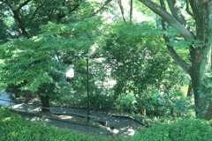 緑に囲まれて
