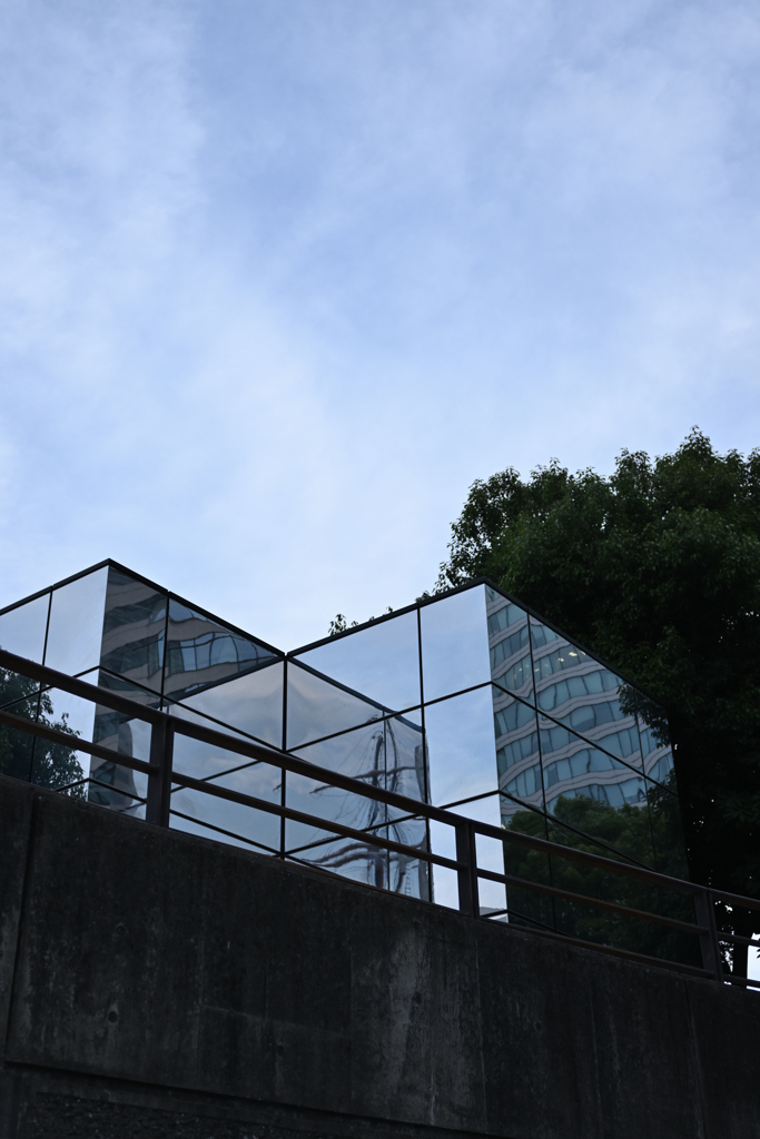 青空を受けて