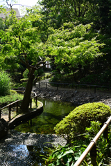 横浜公園_06