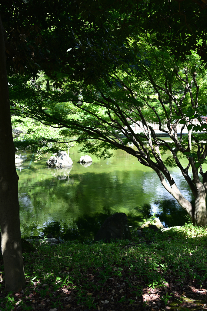 横浜公園_12