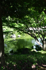 横浜公園_12