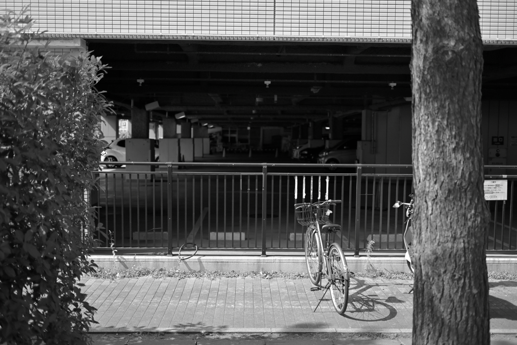 みなとみらい散策_20240814_14