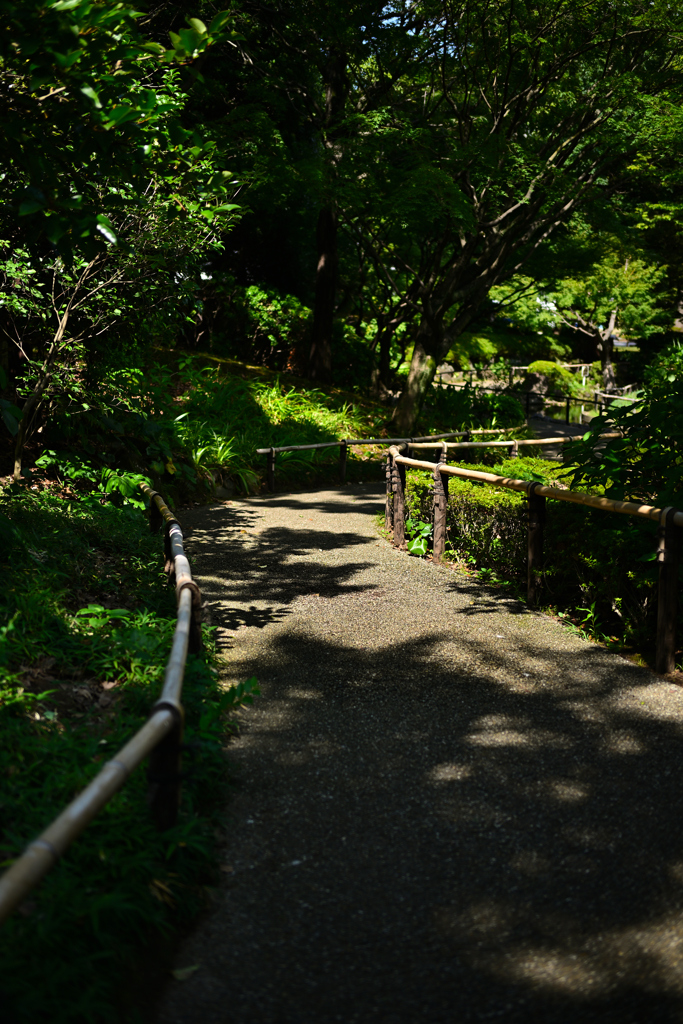 横浜公園_11