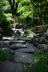 横浜公園_14