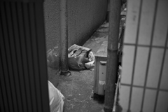 街角スナップ_20240904_31