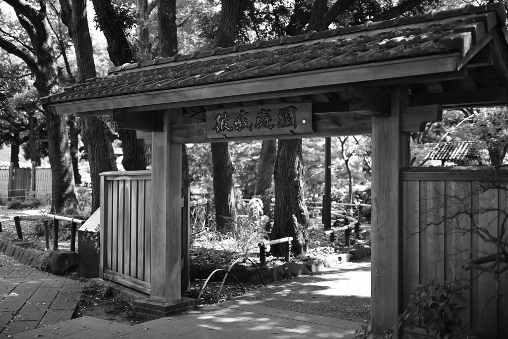 横浜公園_05