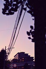 夜明け