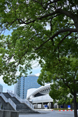 みなとみらい散策_20240814_20