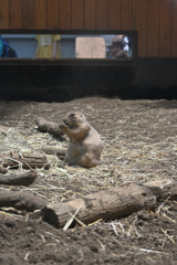 もぐもぐ