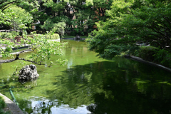 横浜公園_09