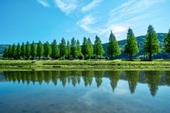水鏡