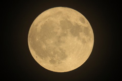 Buck Moon（雄鹿月）