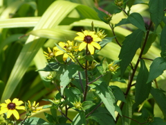 P1050078