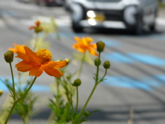P1050067