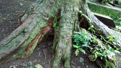 DSC00986