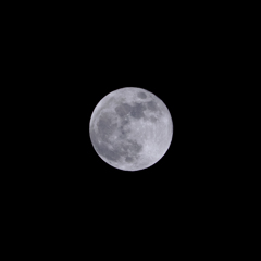 2025.03.14 満月