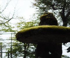 苔むす灯篭