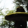 苔むす灯篭
