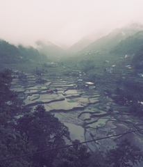 雨の Hapao Rice Terraces 。展望台から。