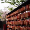 絵馬と桜