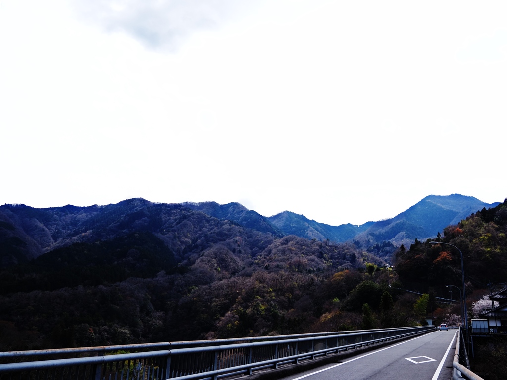 今日のターゲット、高畑山と倉岳山