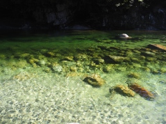 きれいな水が流れる川