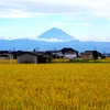 下山後、田んぼから見えた富士山。思わず車を止めて撮りました