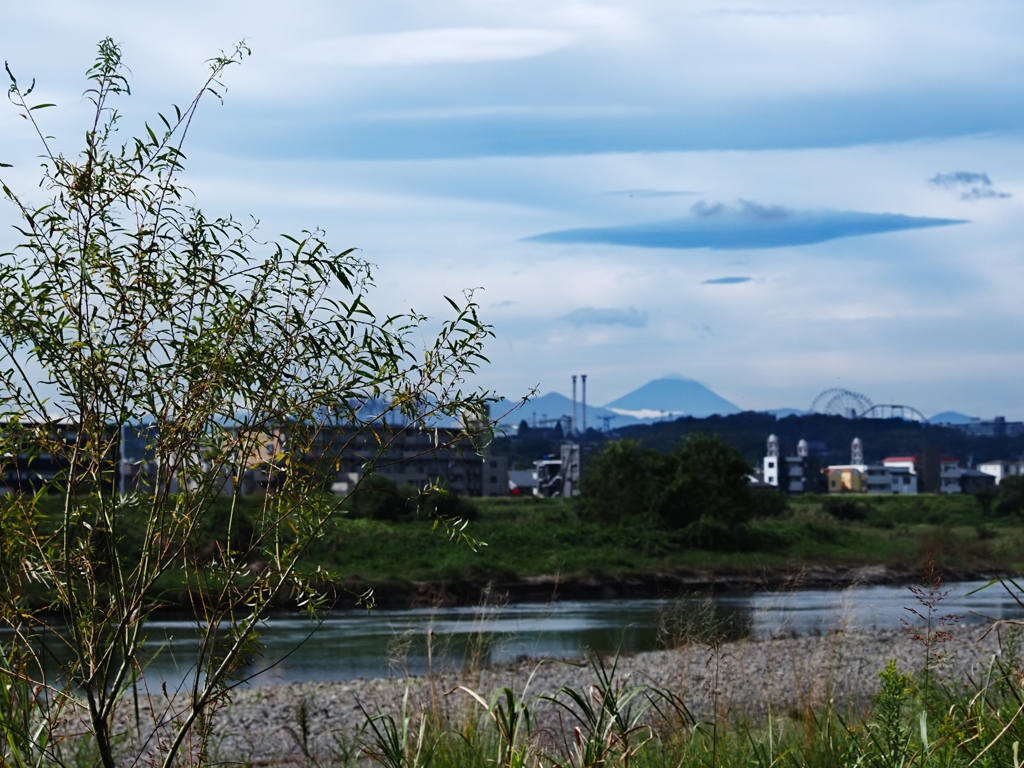 多摩川と富士山
